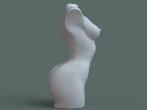 Female Torso 3D printmodel