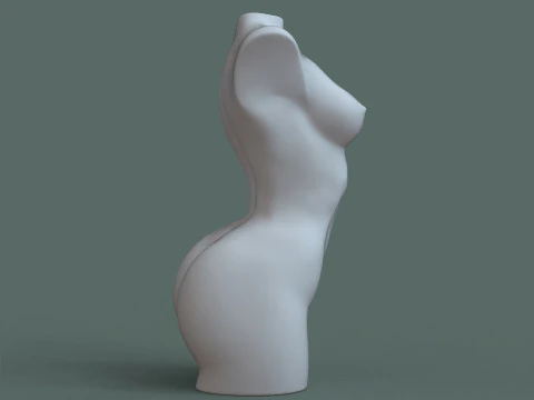 Female Torso 3D Print Model