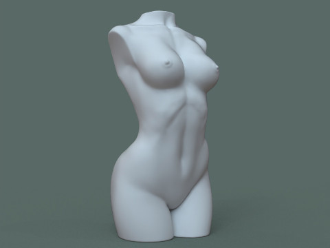 Female Torso 3D printmodel