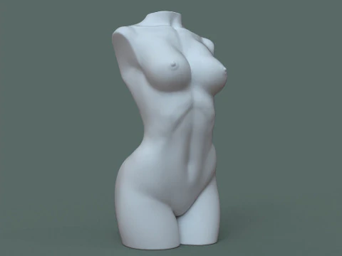 Female Torso 3D Print Model