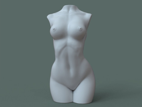 Female Torso 3D printmodel