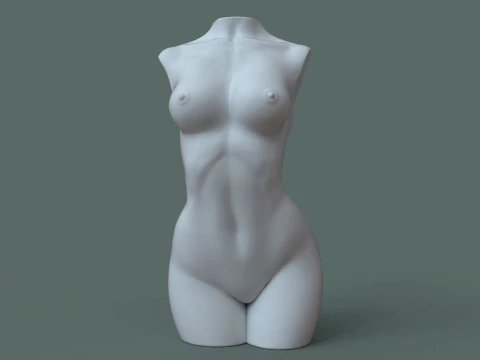 Female Torso 3D Print Model