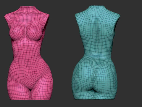 Female Torso 3D Print Model