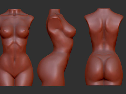 Female Torso 3D Print Model