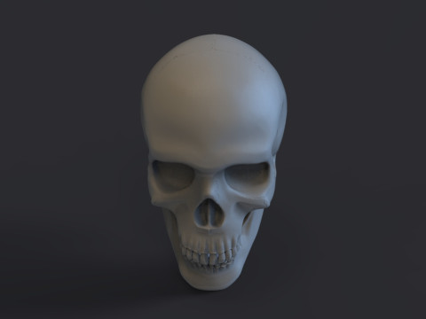 Skull Model do druku 3D