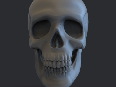 Skull Model do druku 3D