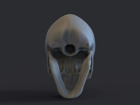 Skull Model do druku 3D