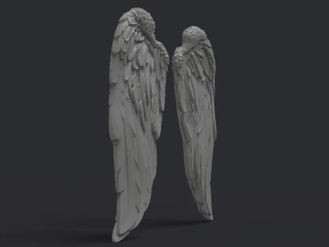 Angel wings 3D Print Model