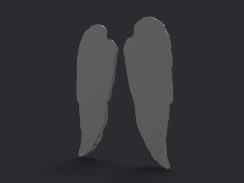 Angel wings 3D Print Model