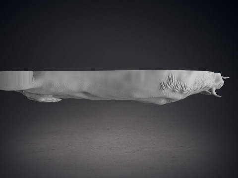 Bull Bas relief 3D Druckmodell