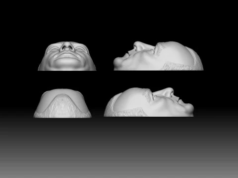 Gazi Mustafa Kemal Ataturk Bust 3D Print Model