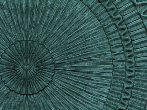 Sunburst wall decor Model Cetak 3D