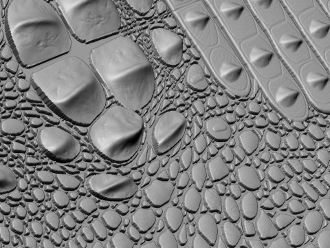 Krokodilhaut 3D STL Modell Realistisches Ledertexturrelief für CNC- und 3D-Druck 3D Druckmodell