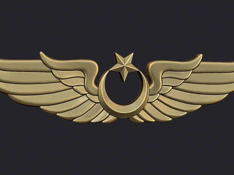 Pilot Badge of Turkish Air Force 3D print model 3D Print Model
