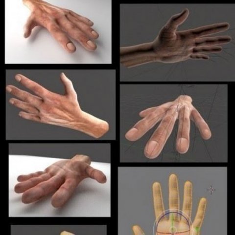 rigged hands Modelo 3D .c4d .max .obj .3ds .fbx .stl .blend 