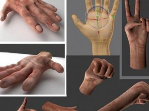m&atilde;os manipuladas Modelo 3D