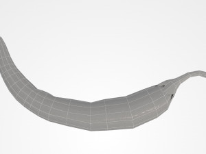 pepper chilli 3D Model
