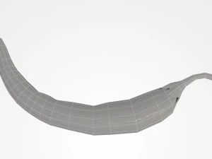 перець чилі 3D Модель