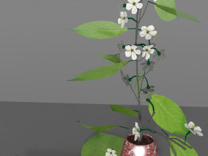 cherry branch flowers 3D 모델