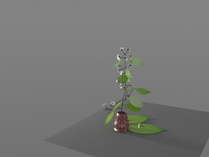 cherry branch flowers Modèle 3D