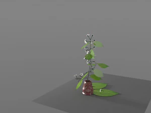 квіти гілки вишні 3D Модель
