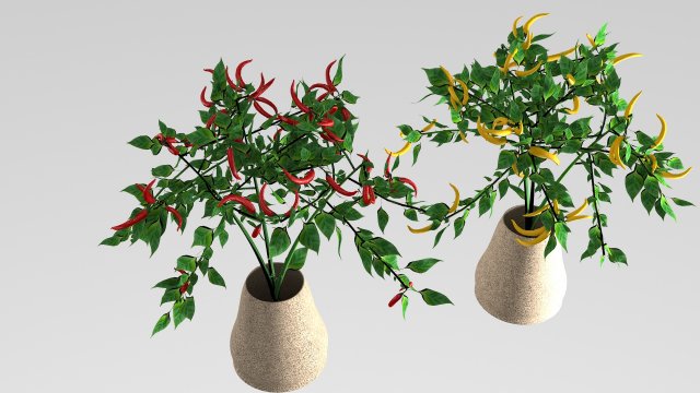 pepper plant 3D मॉडल .c4d .max .obj .3ds .fbx .stl .blend 