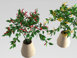 рослина перцю 3D Модель