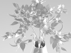pepper plant 3D मॉडल