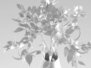 pepper plant 3D Model