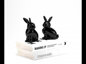 bunny rabbit books Model 3D