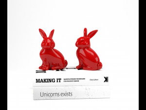 bunny rabbit books Model 3D