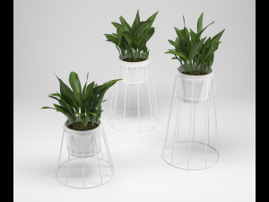 ok design cibele plant stand 3Dモデル