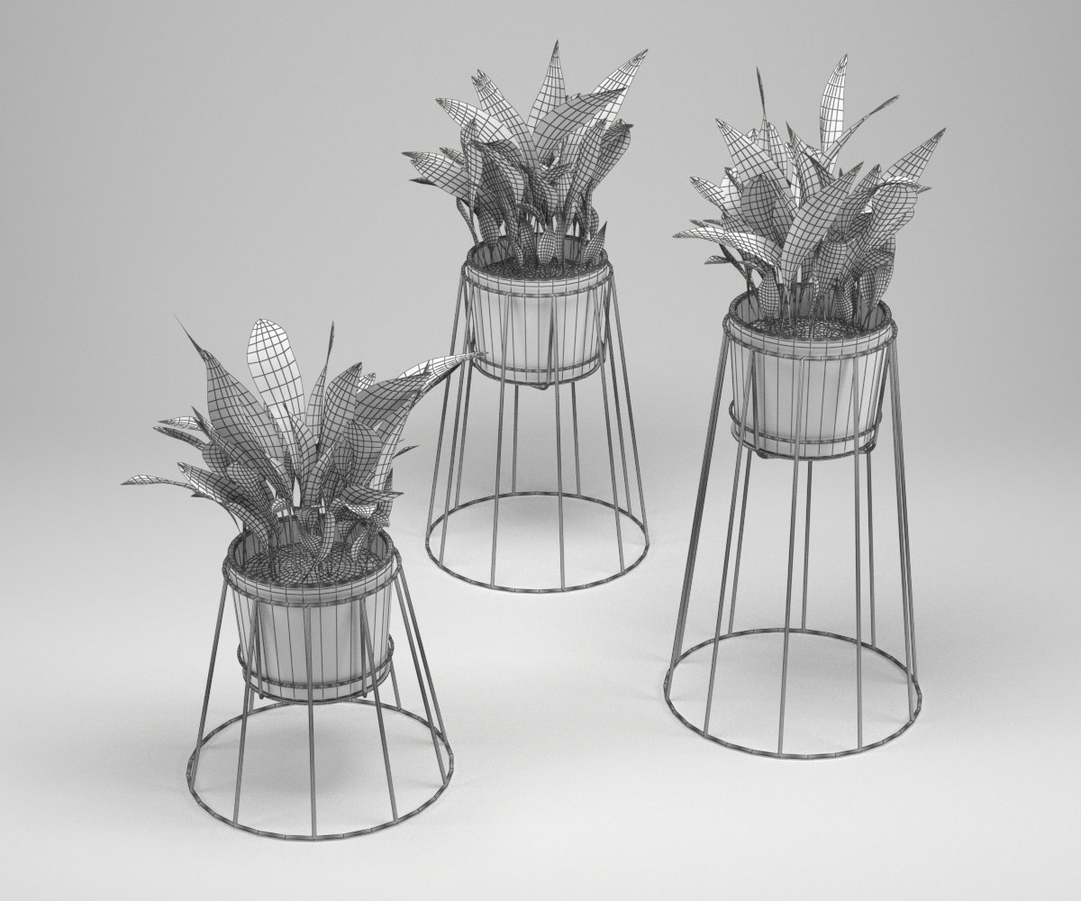 design cibele plant 3D Model in Small Plants