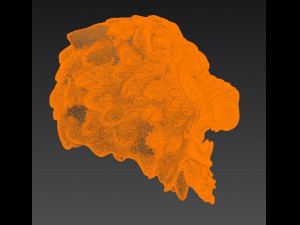 lions head 3D Model
