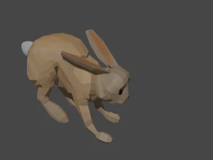 bunny with animations 3D Model