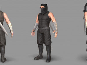ninja warrior Model 3D