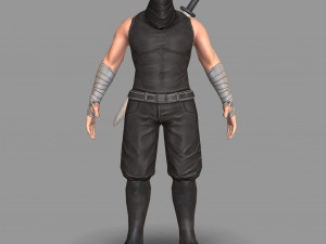 ninja warrior Model 3D