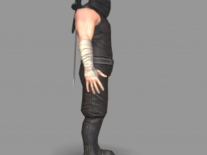 ninja warrior Model 3D