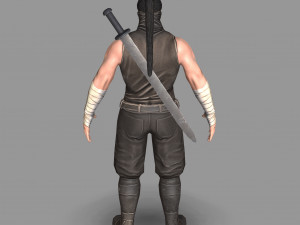 ninja warrior Model 3D