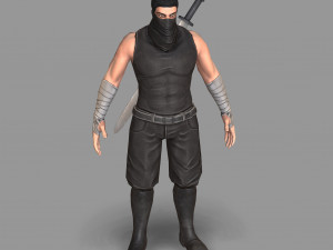 ninja warrior Model 3D