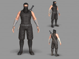 ninja warrior Model 3D