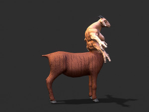 warrior goat Modelo 3D