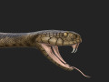 Rattlesnake 3D-Modell