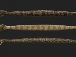 rattlesnake 3D Model