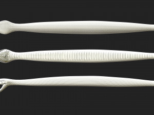 rattlesnake 3D-Modell