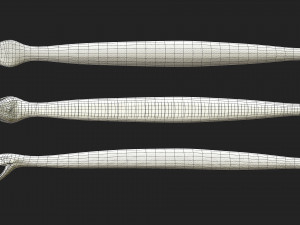 rattlesnake 3D-Modell