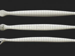 rattlesnake 3D Model