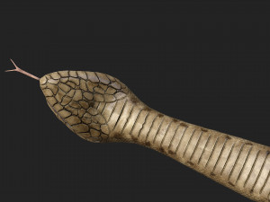 rattlesnake 3D-Modell