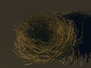 bird nest 3D 모델