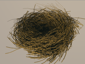 bird nest 3D 모델